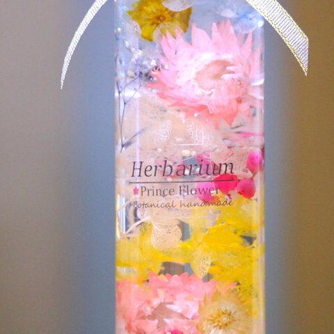 Spring herbarium 