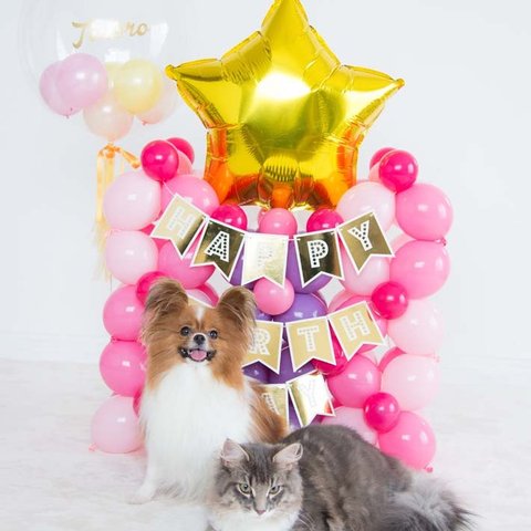 愛犬、愛猫のお誕生日に。お名前&年齢入り　ピンクのお城バルーンセット