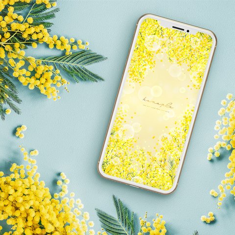 【黄色煌めく春の花】金運アップの吉兆！ミモザの花とキラキラ陽光のスマホ壁紙