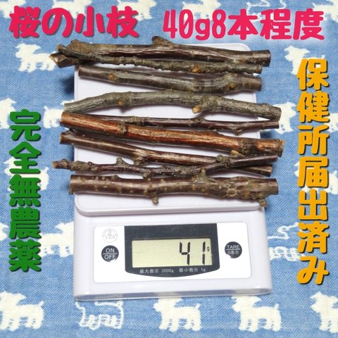 桜の小枝☆40g8本、鳥ハムスターうさぎデグー、小動物フェレットかじり木、乾燥小枝セット