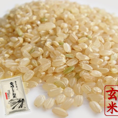 【送料無料】玄米コシヒカリ5kg