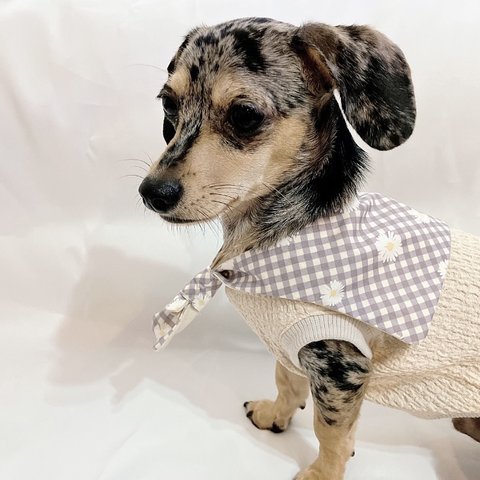 ✿犬服✿セーラーカラー付きノースリーブ