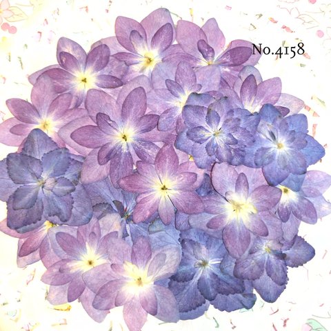 ♡new♡ 作家様必見♡可愛い紫陽花の押し花セット♡