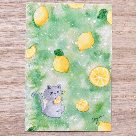 🍋透明水彩画「すっぱいレモン」水彩画イラストポストカード２枚セット　猫　ねこ　フルーツ　癒し🍋
