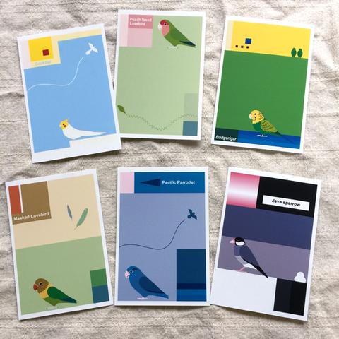 インコ・文鳥のポストカード　選べる5枚セット