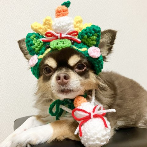 犬用＆猫用 鏡餅付き緑龍帽子🐲💗干支帽子 正月