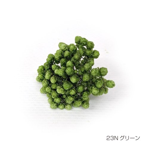 【即納】 ライスフラワー ナチュラルシリーズ 70g グリーン プリザーブドフラワー 花材 小さい花 花 プリザーブド花材 ハンドメイド パーツ アクセサリー 資材 緑