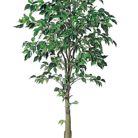 光触媒　人工観葉植物　ウォールグリーン　フェイク　フラワー　フィカスツリー