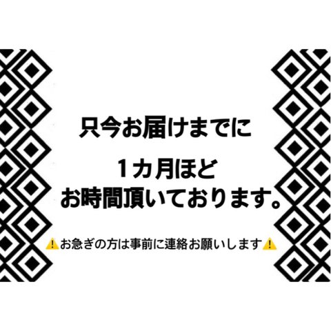 ⚠️只今納期１カ月ほど⚠️