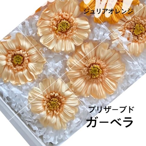 ガーベラ ジュリアオレンジ 5輪 　プリザーブドフラワー花材　