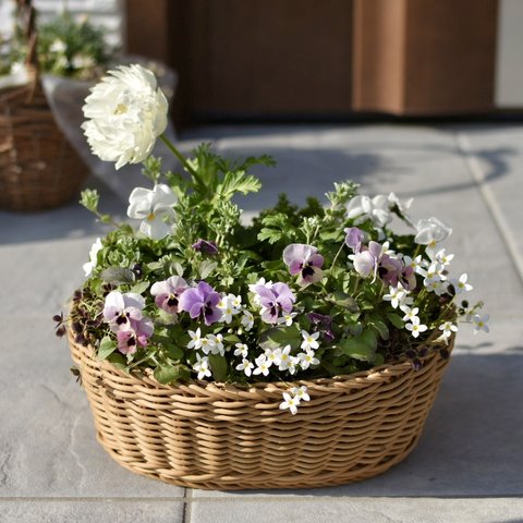 ⚪︎オーダー⚪︎ ロマンチックカラー♡ 春の寄せ植えバスケット