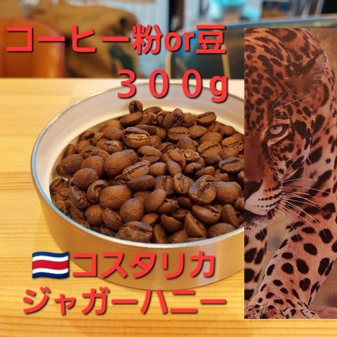 コーヒー粉orコーヒー豆300g　ジャガーハニー