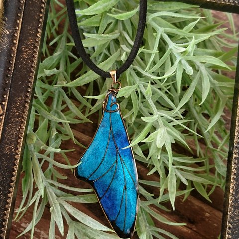 （紐）ブルーグリーンのモルフォ蝶のネックレス（標本タイプ）.（necklace of blue green Morpho butterfly 〜Sealed time〜）