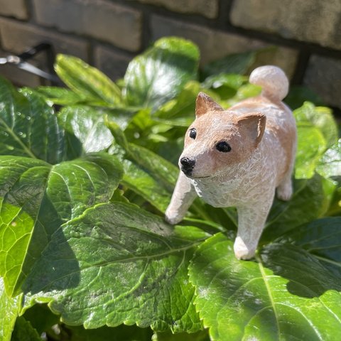 【展示品】(立体) 夢ちゃん