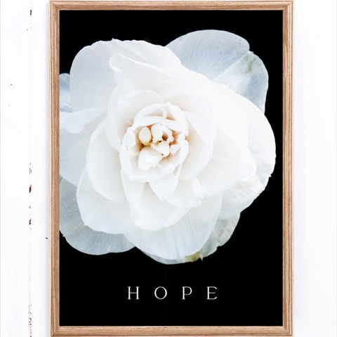 #1092：HOPE / 苦しくて正解