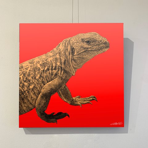 reptile アートパネル/正方形/インテリア/インテリアパネル/30ｃｍ×30㎝/アニマル/動物/トカゲ/壁掛け/モダン/現代アート/アニマルアート／インパクト