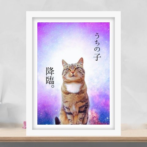 猫は宇宙　ギャラクシー　デジタルフォトアート