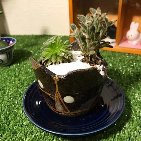 金継ぎ湯呑み型鉢植え+多肉植物寄せ植え