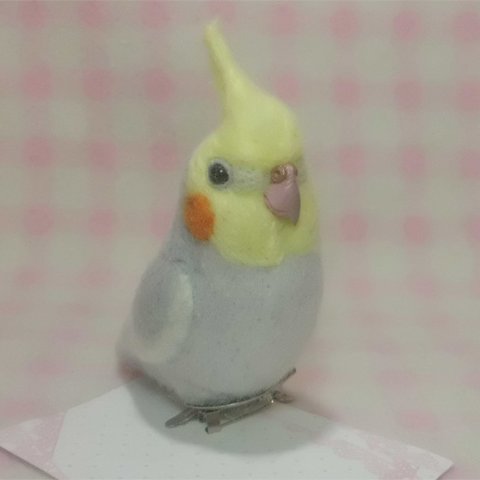 オカメインコ ライトグレー♂ mini♪☆マグネット/ブローチ どちらか選択   足有に変更可能   羊毛フェルト 鳥のオブジェ リアルバード 受注制作 　オーダー可能