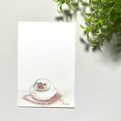 文鳥の絵はがき【水彩画原画】