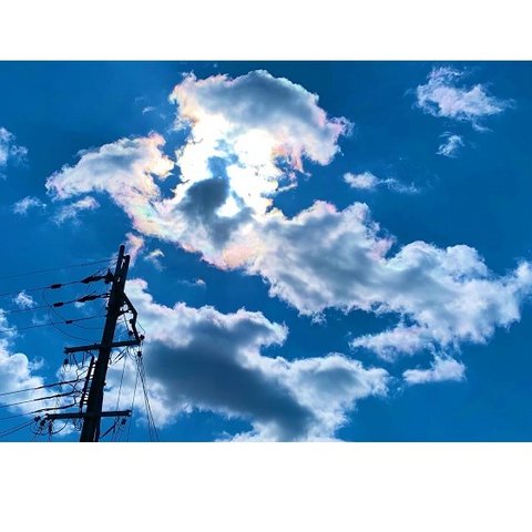 鳳凰と彩雲の写真（量子波動シート入り）