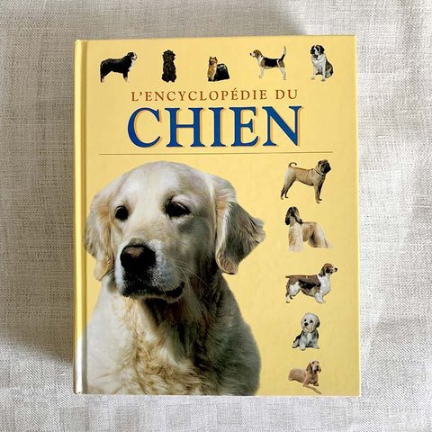 フランス古本　犬の百科事典　大型図書 12PSbv13