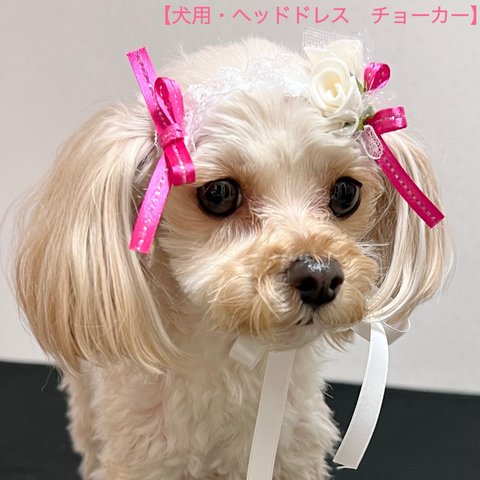 【犬用】犬ヘッドドレス　犬リボン　犬ヘアアクセサリー　犬チョーカー　犬誕生日　ペットアクセサリー