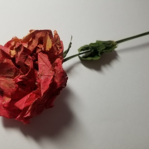 【紙花】かみはな一輪挿し　薔薇