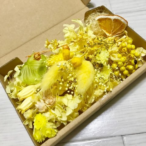 綺麗色ミモザイエロー＊ハーバリウム 花材ドライフラワー  花材セット