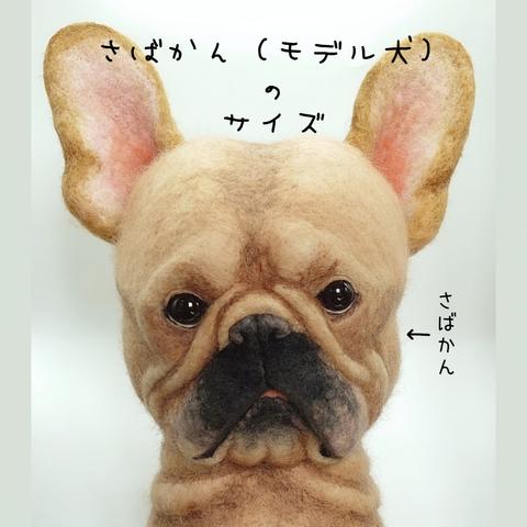 モデル犬さばかんのサイズ