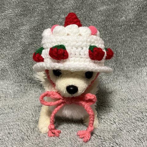 超小型犬用帽子🍓苺のケーキ🍓お誕生日ケーキ