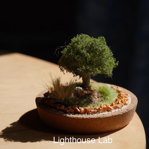 ジオラマインテリア　miniature tree オリーブの木とデザートローズ