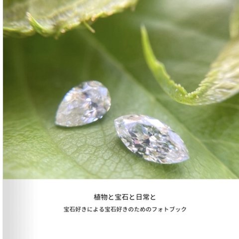 宝石フォトブック「植物と宝石と日常と」