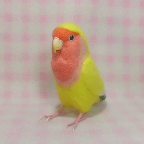 ライフサイズ  コザクラインコ チェリｰ系 イエロ－ Lovebird 情侶鸚鵡 Real size 羊毛フェルト　羊毛フィギュア 鳥のオブジェ リアルバード 受注制作