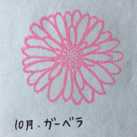 誕生花はんこ (10月 ガーベラ)