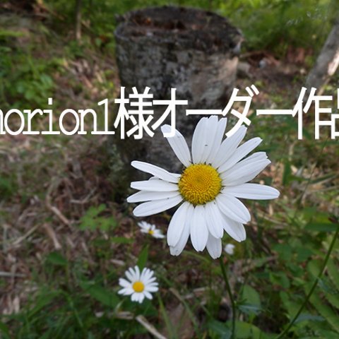 atelier blugra八ヶ岳〜morion1様オーダー作品