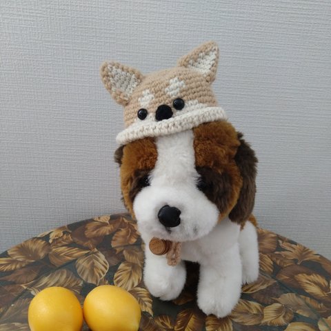 秋田犬の帽子