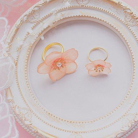 〜桜とさんぽ～指輪