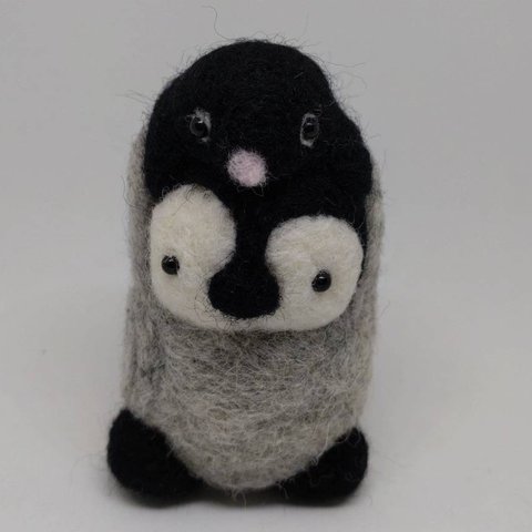 迷子のアデリーペンギンのヒナ