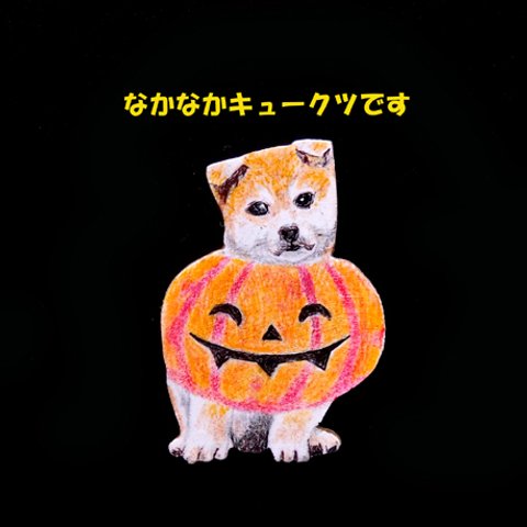 「ミーたん」劇場　其の223　ハロウィン豆助ブローチ