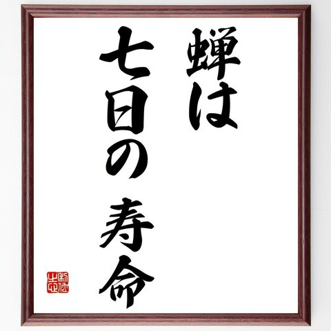 名言「蝉は七日の寿命」額付き書道色紙／受注後直筆（Y6930）