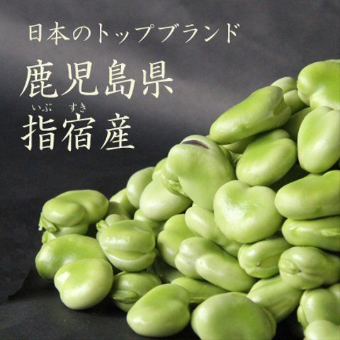 【来期予約販売】鹿児島県産朝摘みそら豆２ｋｇ