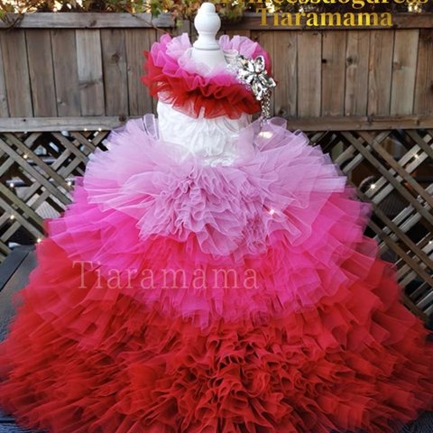 💐Princessdogdress💐豪華撮影用ふんわりカラフルグラデーションドレス　イベント　記念日　犬用　猫用　