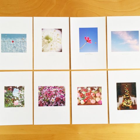 《送料無料》5枚 選べるお花のポストカード D