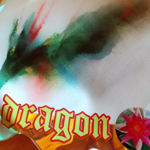 SALE☆ dragon☆龍さんのcolorfulオーロラクリアマルチケース_(PVC)