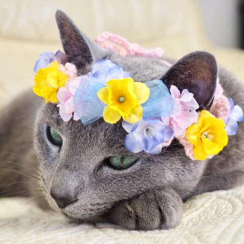 【再販14】猫用 花冠 忘れな草