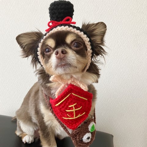 こどもの日🎏 犬用＆猫用 金太郎帽子🎏💖端午の節句  柏餅ポシェット、くまさんポシェット