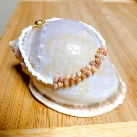 Hawaiian kahelelani shells とWhite Shellheisi