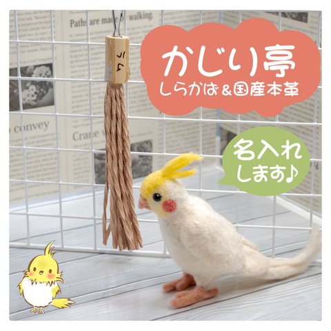 インコちゃんの✩.*˚しらかば＆国産本革のかじり亭　手書きで名入れします♪