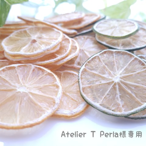 【Atelier T Perla様専用ページ】